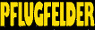 pflugfelder_logo.jpg